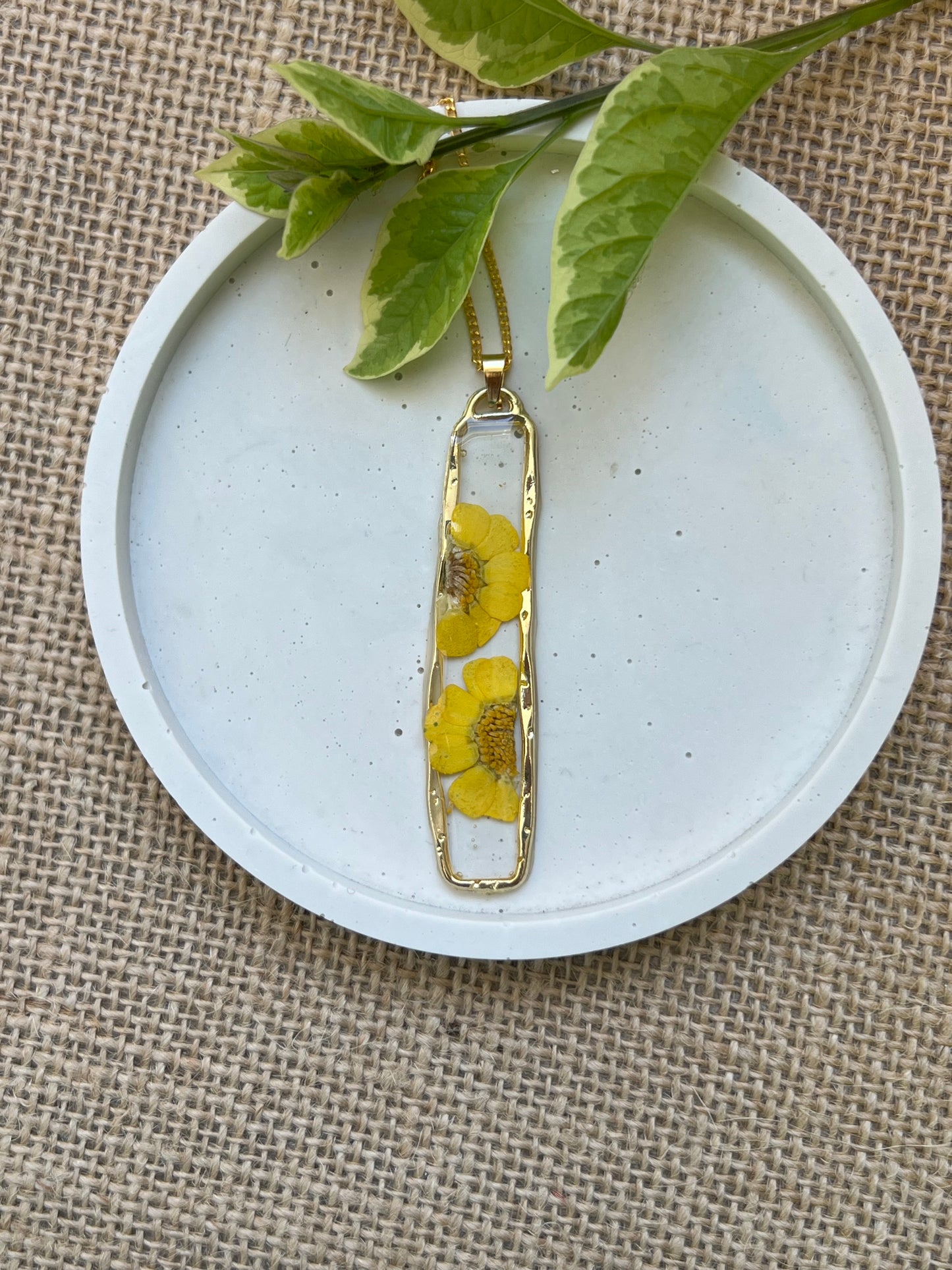 Fynbos Blast Rectangle Real Daisy Resin Jewellery