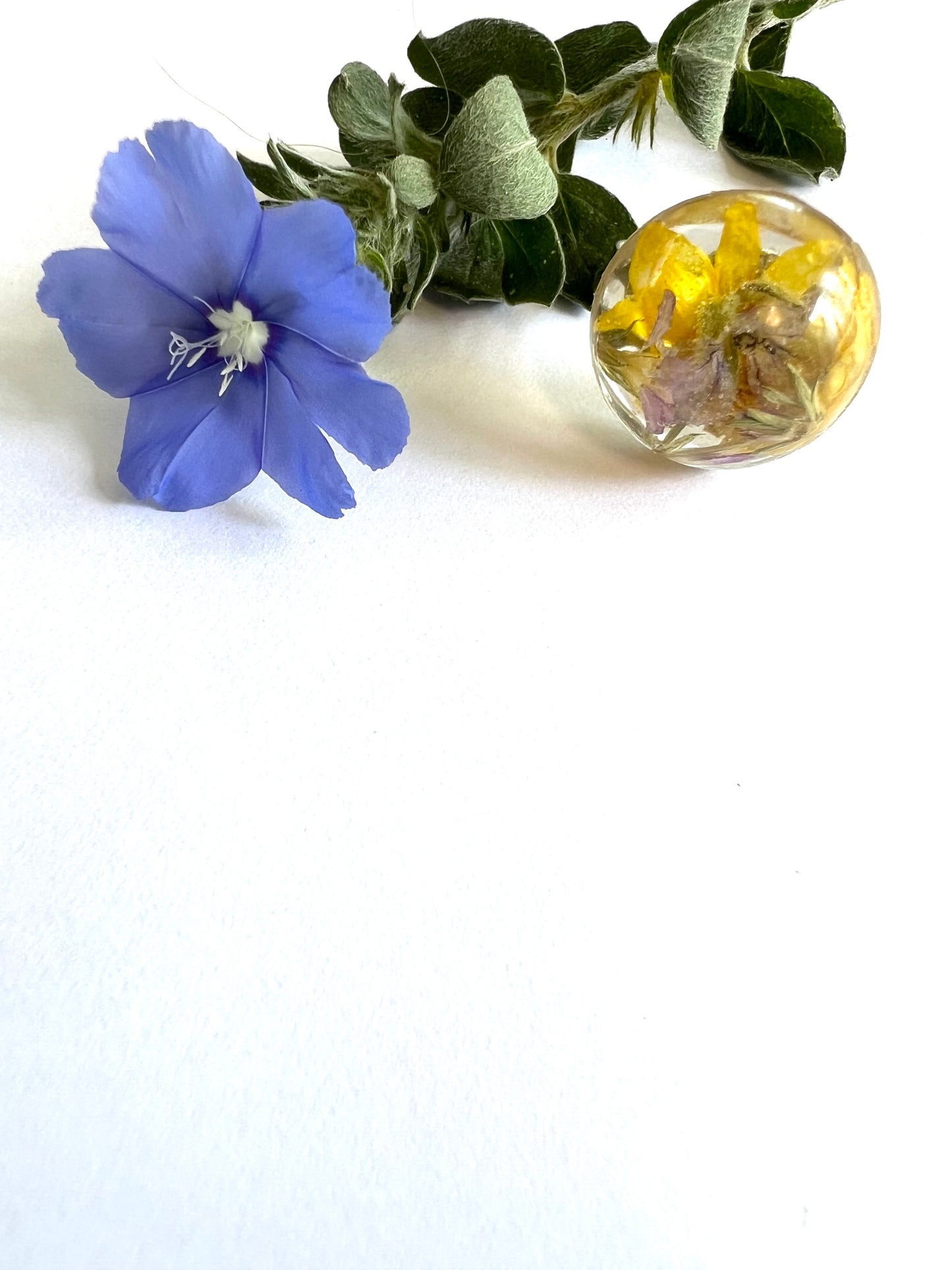 Fynbos Blast Adjustable Resin Ring